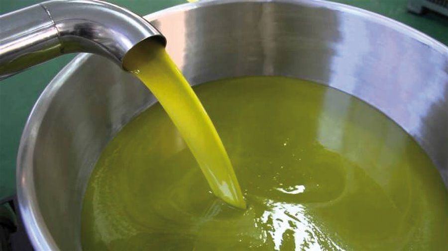 Olio nuovo